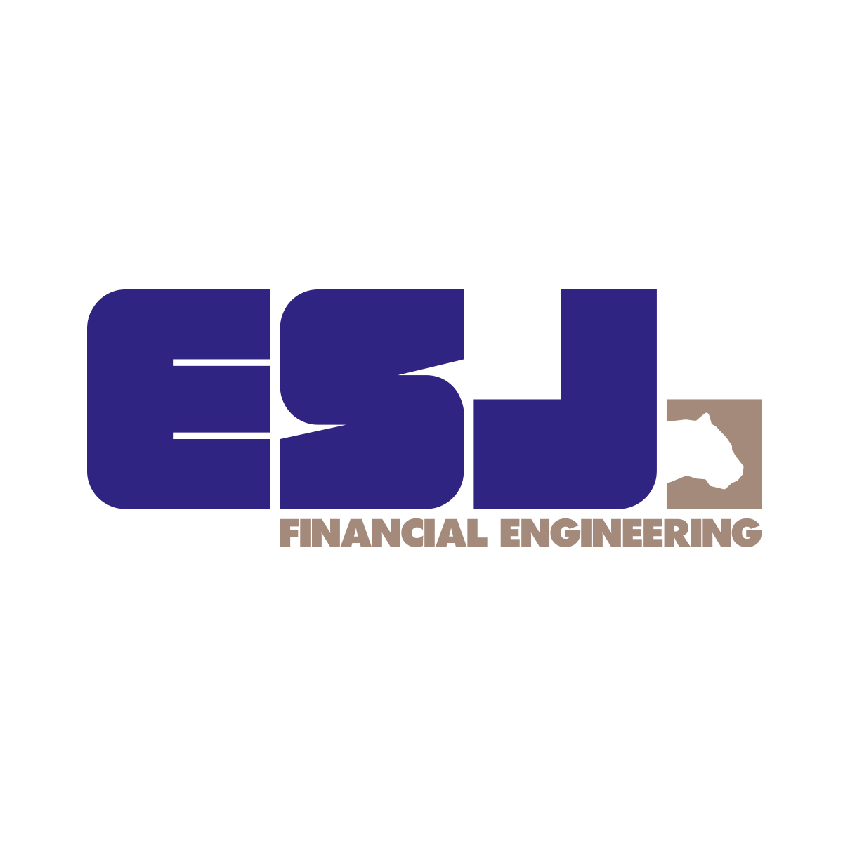 ESJ Accountants en belastingadviseurs